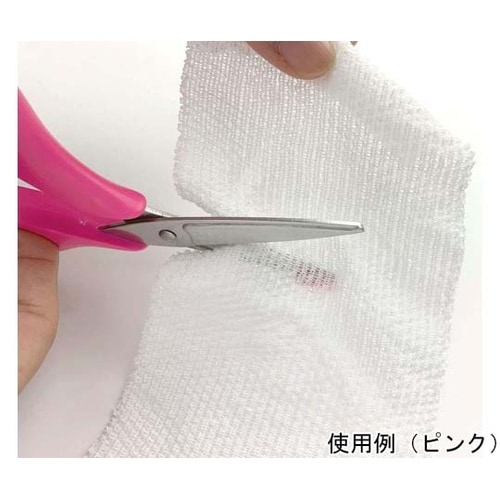 �i�[�X�͂��݁@���f�B�T�|