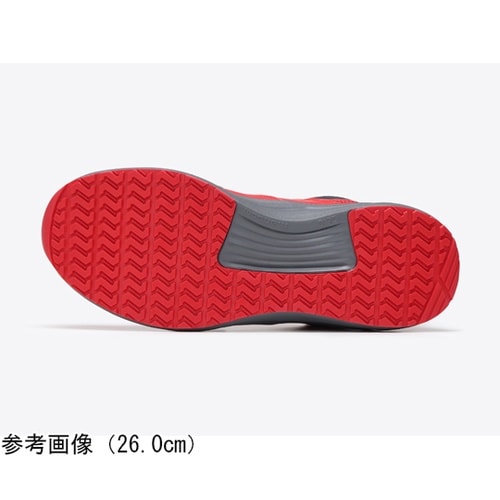 �_�C���������S�X�j�[�J�[
