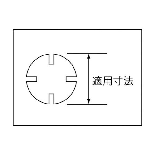 ���|�X�p�i