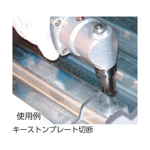 �L�[�X�g���J�b�^�r�f�|�P�U