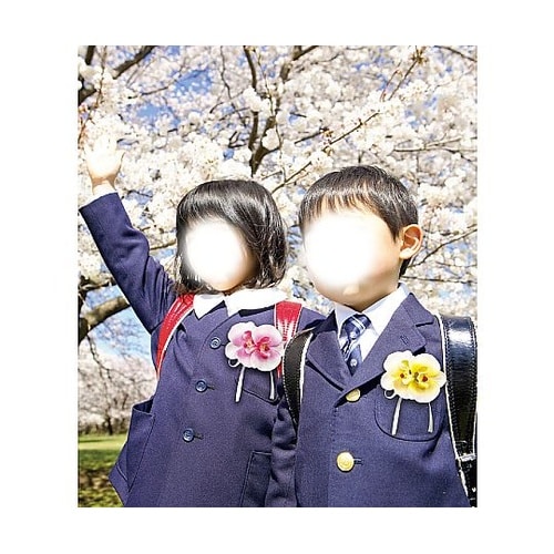 �R�T�[�W��