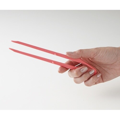 �|�e�g���O