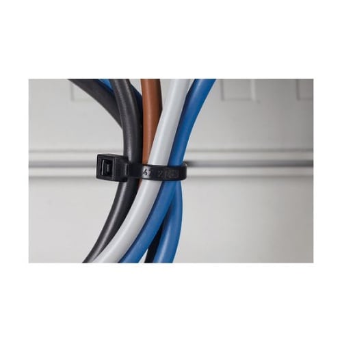 �u�Z���t�B�b�g�v�@�P�[�u���^�C���@�P�܁i�P�O�O�{���j