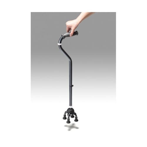 �e�g���E�P�C���@�X���[���x�[�X�@�t���b�N�X�@�n