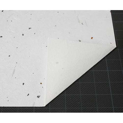 ��玆�@���⍻�q�@�Q�O����