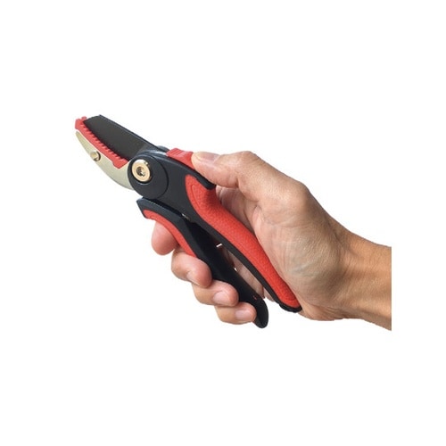 �C�[�W�[�O���b�v������