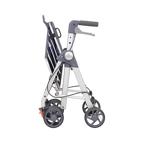 �e�C�R�u���g�����S���~�j