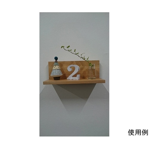 �ǔ��l�@�΍p�{�[�h�p�@�����