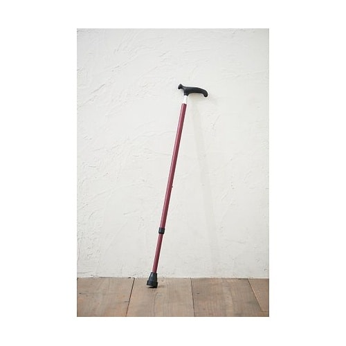 �X�����l�b�N�I�b�Z���x���O