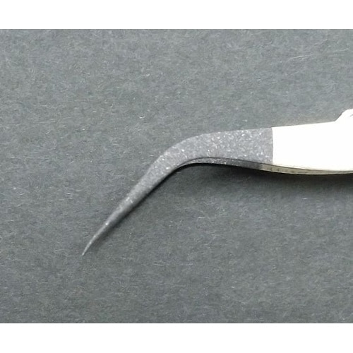 ��S���s���Z�b�g