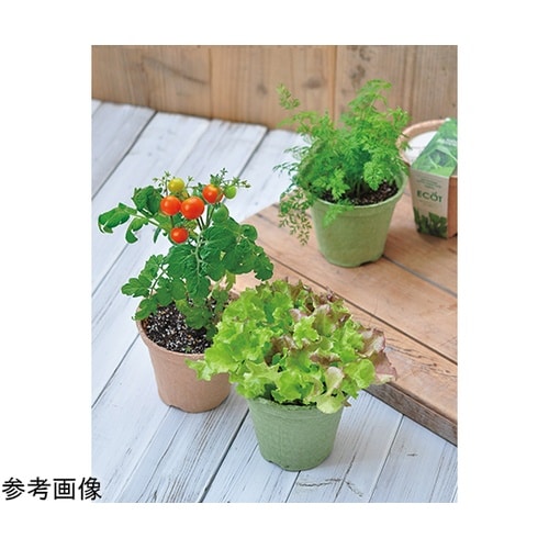 �G�R�b�g�@�r