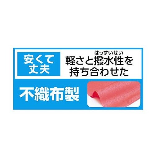 �J���[�s�D�z�n�b�s�q���p