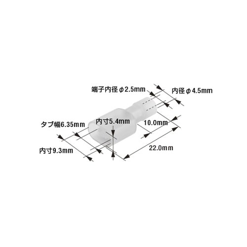 ファストンプラグ