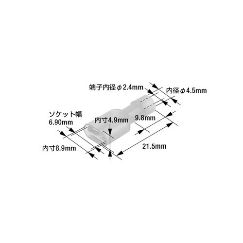 ファストンプラグ