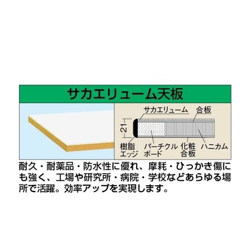 �y�ʍ�Ƒ�j�g�^�C�v