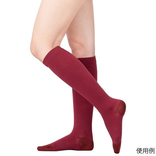 �A���V���N�E�P�@�n�C�\�b�N�X