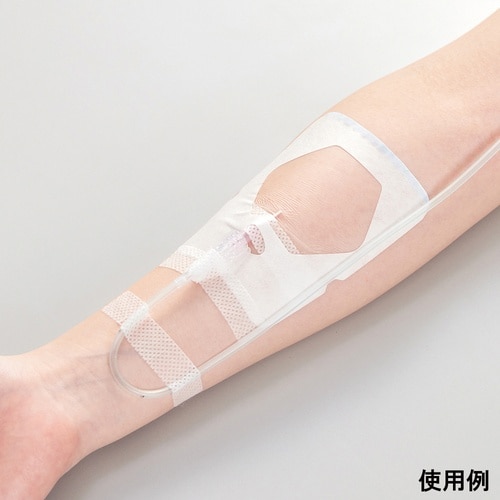 �J�e���[�v���X�s�l�G�R�[�^�J�e���[�v���X�G�R�[