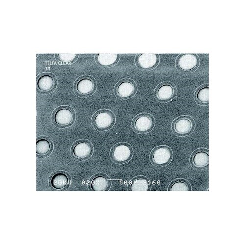 �e���t�@�@�T�[�W�J���p�b�h