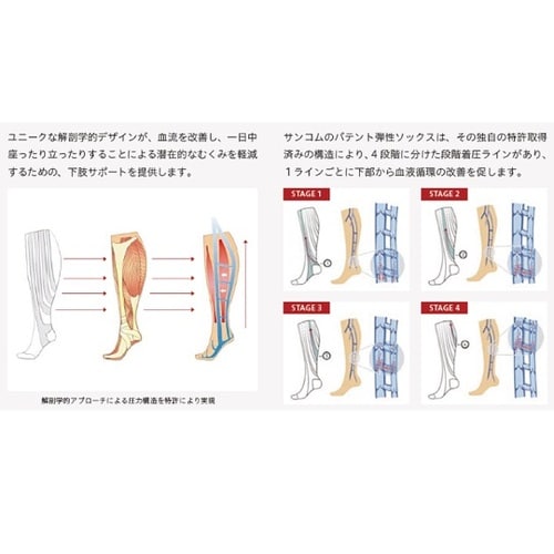 �p�e���g�R���v���b�V�������C�g�\�b�N�X