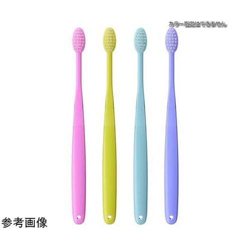 �R�p���n�u���V