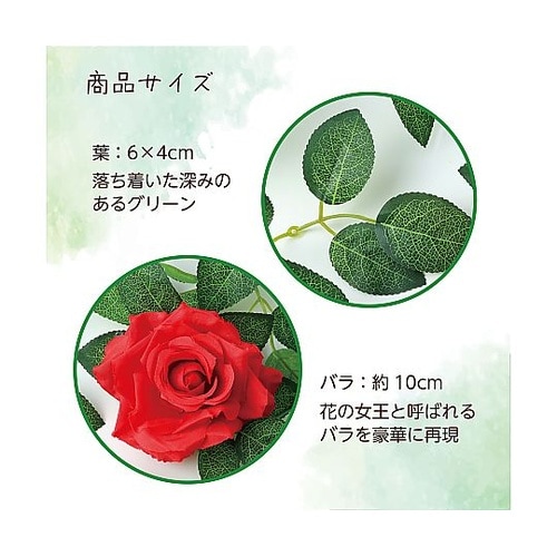 �t�F�C�N�O���[���@�K�[�����h�@�o��