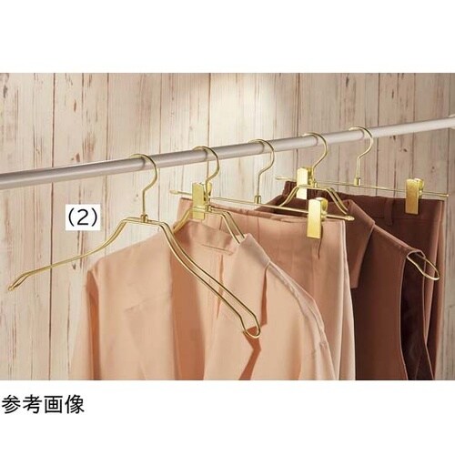 �X�`�[�����n���K�[