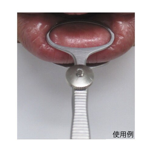 �f�}���ŗ����q�q