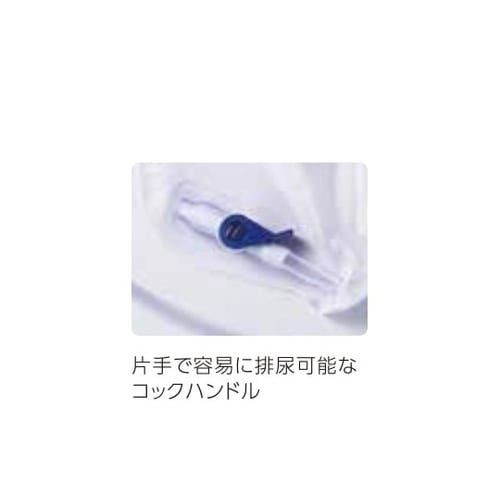 �t�H�[���[�g���C�L�b�g