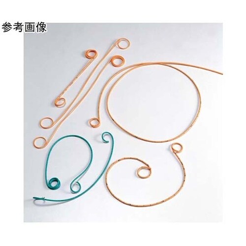 ���E���X�e���g�V�X�e��