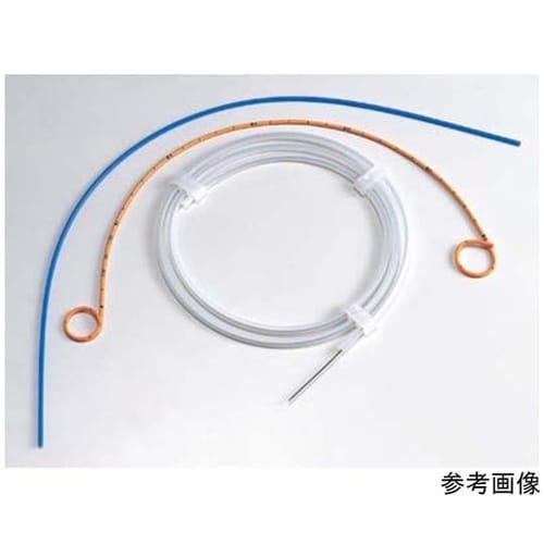 ���E���X�e���g�V�X�e��