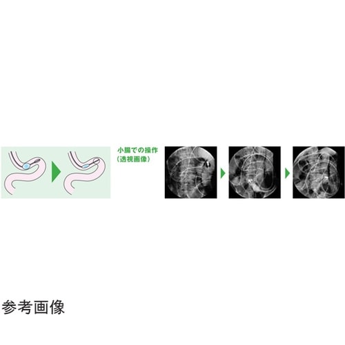 ���C���E�X�`���[�u