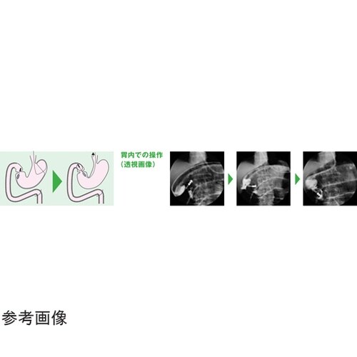 ���C���E�X�`���[�u