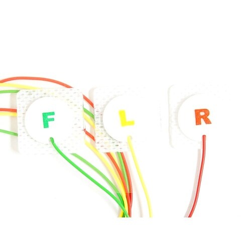 �a�r�f�B�X�|�[�U�u���d�b�f���[�h���t�d��