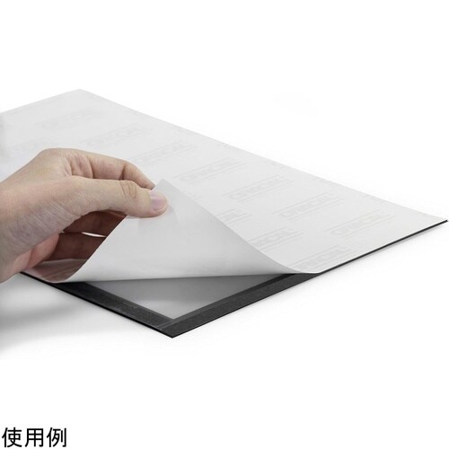 �f�B�X�v���C�t���[��