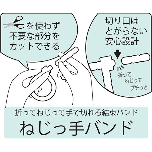 �˂�����o���h