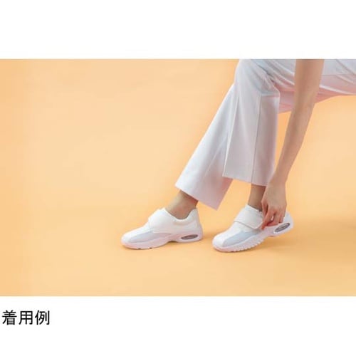 �o�����I�u�Q