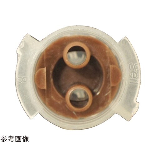 �a�r�@�m�����@�~�L�V���O�`�b�v�@�h�h