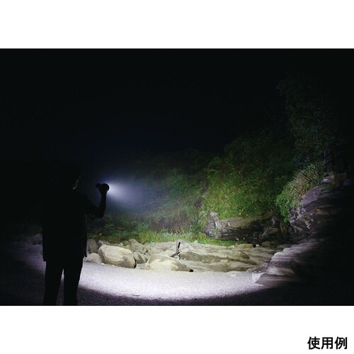 �A���e�B���b�N�X�@�g�[�`