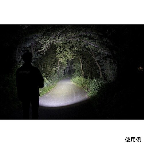 �A���e�B���b�N�X�@�g�[�`