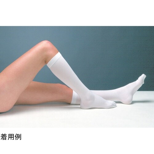 �s�D�d�D�c�D�@�T�[�W�J���@�n�C�\�b�N�X