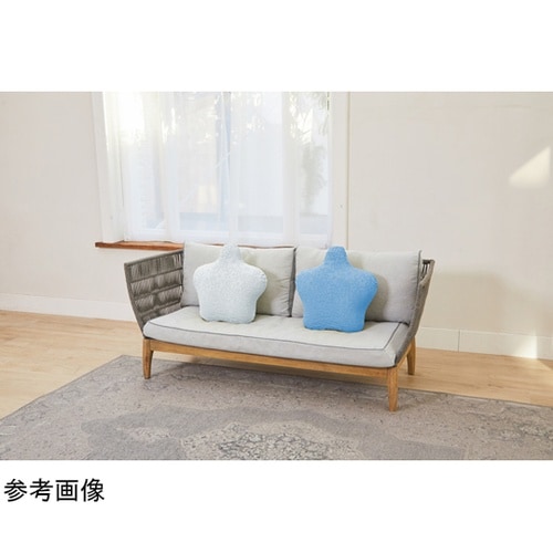 �b���b���j�b�g�J�o�[�@�X�^���_�[�h�p