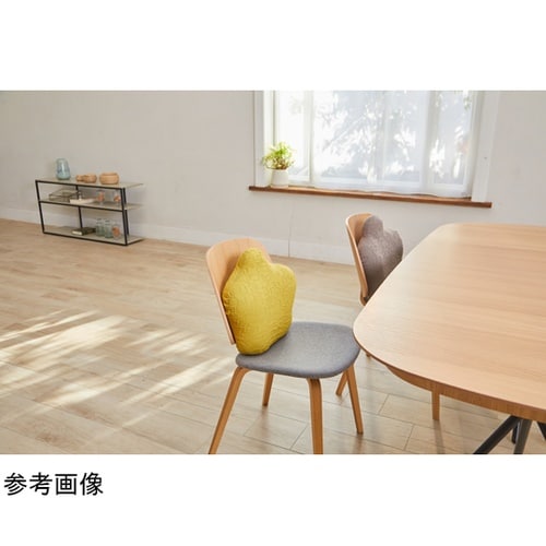 �b���b���j�b�g�J�o�[�@�X�^���_�[�h�p