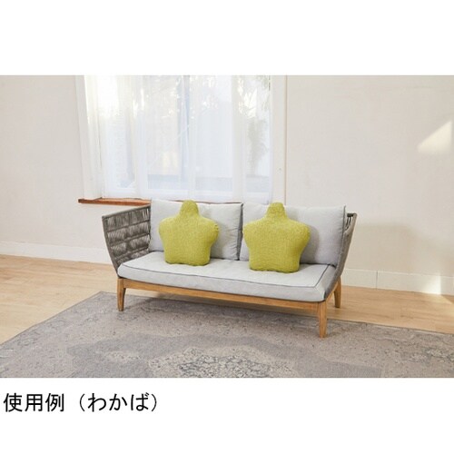 �b���b���j�b�g�J�o�[�@�X�^���_�[�h�p