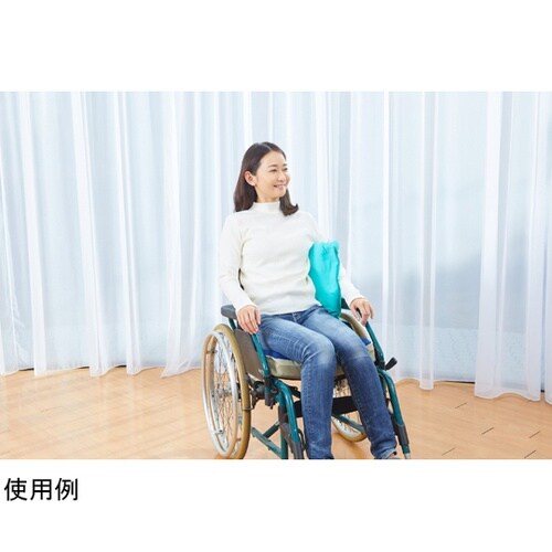 �C�[�R���E�x�[�V�b�N�@�|���v�t�@��