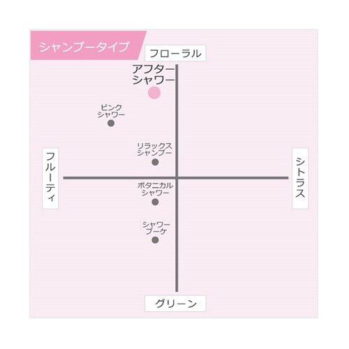 �G�A�[�X�y���T�[�J�[�g���b�W