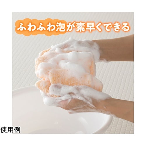 �n�E�X���{�A�����{�f�B�^�I��