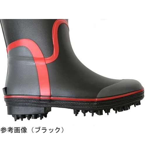 �X�p�C�N�S�����C