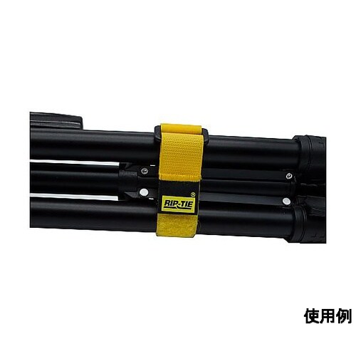 シンチストラップ