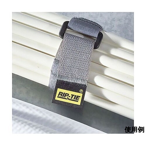 シンチストラップ