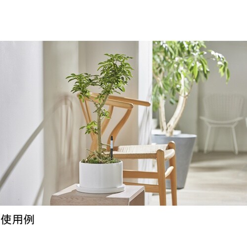 �T�X�e�B�[�V���O���p�b�N